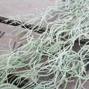 yȂ邷ztFCNO[ VVXyȂ邷 O[  t tFCN K[h lHϗtA A[eBtBVO[ Ǌ| ~j  ϗtA 