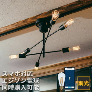 シーリングライト 6灯 ASTRE アストル LT-2679 インターフォルム interform リビング照明 ダイニング照明 6畳 8畳 10畳 一人暮らし北欧 天井照明 直付け 照明器具 照明 おしゃれ 寝室 子供部屋 キッチ