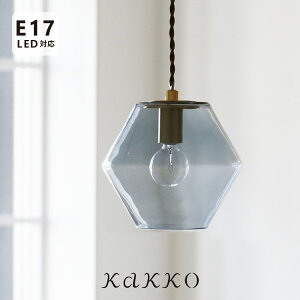 pelata y_gCg 1 silmu V STCYyKXƖ ^J E17 NA  k ݂艺Ɩ CeACg Lb` Q rO LED VƖ dC t _CjOƖ 