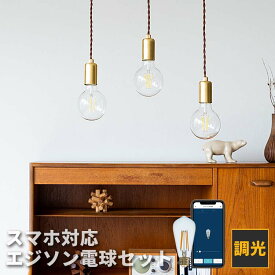 ペンダントライト 1灯 regen レーゲン＋TOLIGO エジソン電球セット 北欧 照明 おしゃれ ダクトレール用 天井照明 照明器具 ダイニング照明 ダイニング用 キッチン 寝室 トイレ 階段 廊下 玄関 内玄関照明 電気 カフェ風 led かわいい ペンダント 玄関ライト レール