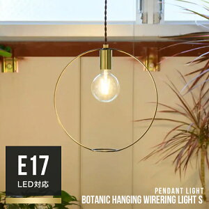 BOTANIC HANGING WIRERING LIGHT S {^jbNnMOCOCg STCY y_gCg ݂艺 VƖ dC ֏Ɩ SWAN Xd Another Garden APE-046 킢  Lb`