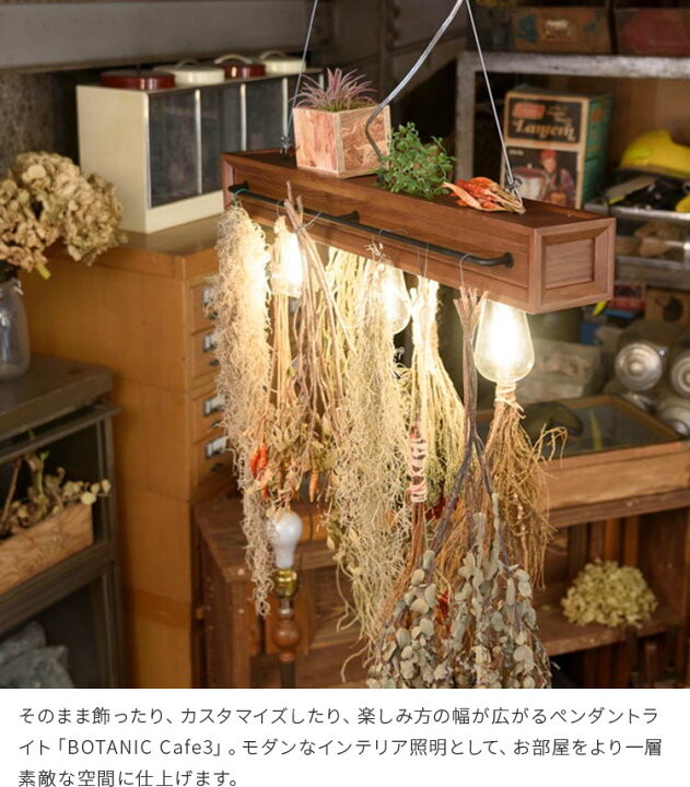 楽天市場】BOTANIC Cafe3 ボタニック カフェ3【ペンダントライト 電球  