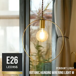 BOTANIC HANGING WIRERING LIGHT {^jbNnMOCOCg MTCY y_gCg ݂艺 VƖ dC ֏Ɩ SWAN Xd Another Garden APE-046 킢  Lb`