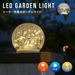 \[[Cg O  LED K[fCg AR Alcor BELLED K[fjOCg C~l[V K[fv hJ h ZT[Cg u^ _  \[[[d L