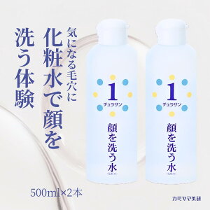 yň錾IzJ~} 􂤐 `T1(500ml) 2{  ϐ ێ 炳 痿 Sgێ v[gt Ƃ ς Ƃ Ags[ XLPA jLr
