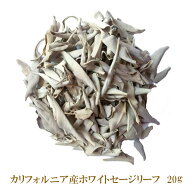 選別済み ホワイトセージ 浄化用 【20g】 無農薬 カリフォルニア産 whitesage 高品質 枝なし リーフタイプ