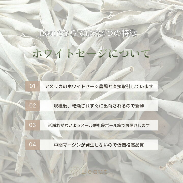 限定価格】業務用「1kg」 枝付きホワイトセージ｜お香