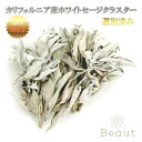 2025年11月下旬収穫 高品質 オーガニック ホワイトセージ レビュー2300件突破 クラスタータイプ（枝付きリーフ）産地…