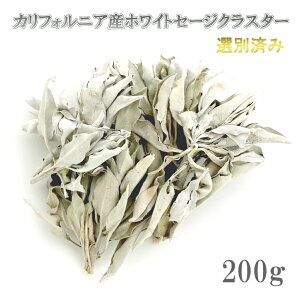 2025N10n i I[KjbN zCgZ[W r[2300˔j NX^[^Cvi}t[tjYn Iʍς 򉻗p L@ YnؖL _ JtHjAY whitesage