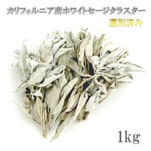 yVX[p[Z[Ώۏi2025N11{n i I[KjbN zCgZ[W r[2300˔j NX^[^Cvi}t[tjYn Iʍς 򉻗p L@ Ynؖ