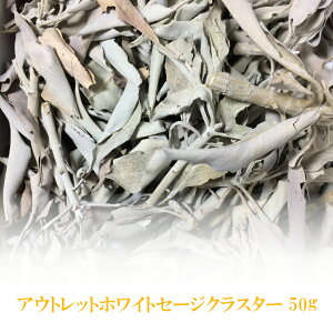 I zCgZ[W 򉻗p y50gz _ JtHjAY whitesage NX^[^Cvi}t[tj