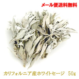 送料無料 ホワイトセージ 浄化用 2021年6月入荷分 無農薬 カリフォルニア産 高品質 選別済み クラスタータイプ（枝付きリーフ）50g