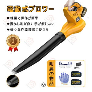 duA[ nCp[ uA[ [d R[hXu[ nfB R[hX iϑ  ᑛ U y 273km/h 21V eʃobe꓋ 18Vobe[ɑΉ\ ]