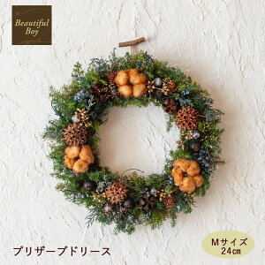 NX}X[X  hA  k  24cm i` ؂̎ vU[uht[ hCt[ ㎿ 2025 X X fBXvC i NX}X O Ǐ 킢 NX