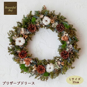 NX}X[X 傫 2025  k  35cm i`  vU[uht[ hCt[ [X hA Ǐ CeA Mtg  X X fBXvC NX}X 