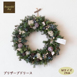 NX}X[X  k  24cm vU[uht[ [X hCt[ hA Ǐ 2025 O X fBXvC NX}X  ܂ Mtg v[g Neige l[W 