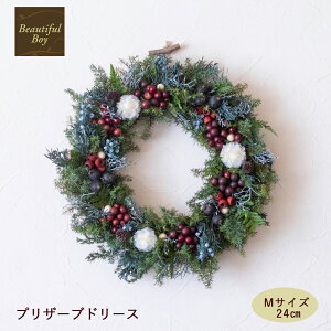 NX}X[X  k  2025 vU[uht[ 24cm O[  [X hCt[ hA Ǐ NX}X X܃fBXvC NX}X  chou chou CR25-WM03