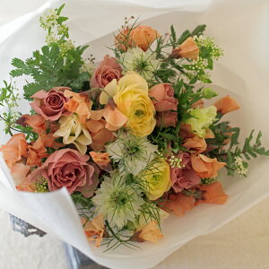  t[ u[P ʉ N ސEj } C ٓ w j \ ԑ z  a   v[g j \  ybg j  G߂̉ 