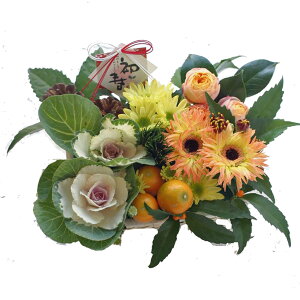    t[AWg v[g 2025    Ε A N Ȃǂ CG[ IW bh sN  F  Nz W G߂̉ ~ Beautiful Boy 