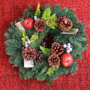 NX}X[X  O tbV [X  NX}X    i` k bh zCg v[g Mtg X fBXvC a JX  w NX}X