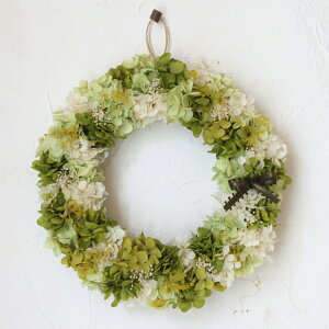 [X vU[uht[ v[g Ǌ|  i` O[ vU[uh hCt[  j LO Џj a   FB I[V[Y z