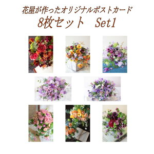 ܂t 9Zbg IWi|XgJ[h 8ށ{1 (Set1) |XgJ[h ͂ PostCard [ok