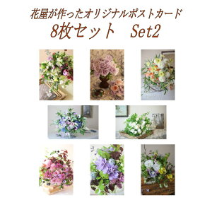 ܂t 9Zbg IWi|XgJ[h 8ށ{1 (Set2) |XgJ[h ͂ PostCard [ok   Ԃ̎ʐ^  u[P ԑ CeA G͂