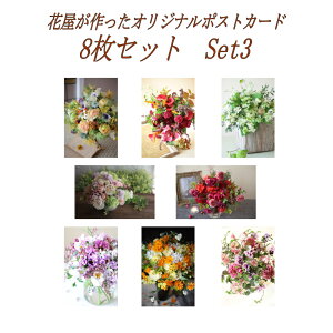 ܂t 9Zbg IWi|XgJ[h 8ށ{1 (Set3) |XgJ[h ͂ PostCard [ok