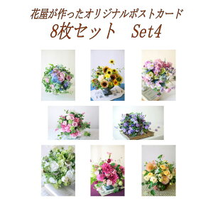 ܂t 9Zbg IWi|XgJ[h 8ށ{1 (Set4) |XgJ[h ͂ PostCard [ok