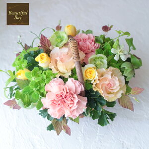 ŒZz 12  t[Mtg Ԃ oXPbg a   v[g ސEj   \ JXj t[AWg tJS oXPbg  