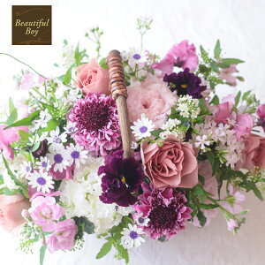 ŒZz 12 a  Ԃ Mtg t[AWg  v[g j  Mtg JXj JƏj ސEj    t oXPbg  