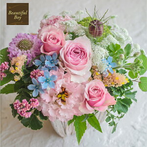 Ԃ Mtg j  v[g a AWg  sN  Џj LO  q \   AW  j G߂̉ ܂ ybg 