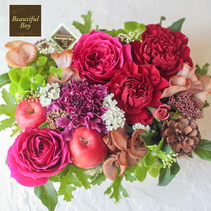 a  v[g җj   j  60 t[P[L ސEj LO  Mtg  j AWg JXj I[v  t[Mtg lC a