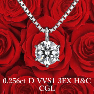 yCGLӒ菑tzyi_Ch̑㖼z 0.256ct DJ[ VVS1 3EX H&C VR_Ch ꗱy_g v`i900 / lbNX gvGNZg n[gAhL[sbh