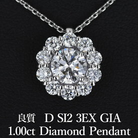 【1カラットの誘惑】天然ダイヤモンド ペンダント 1.00ct Dカラー SI2 3EX GIA鑑定書付き プラチナ900 / トリプルエクセレント 一粒 ネックレス 婚約 エンゲージ PT900 1ct 1カラット