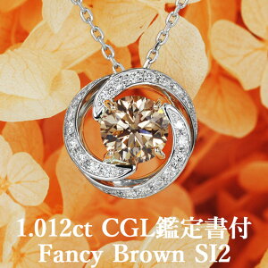 y邭PuEJ[zVRuE_Ch y_g 1.012Jbg FBr SI2 CGLӒ菑t v`i950/K18sNS[h / lbNX ꗱ PT950 18K 18 1ct 1Jbg