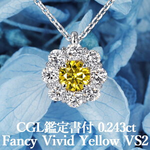 yCG[_Ch̍ō t@V[rrbhCG[zVRCG[_Ch y_g 0.243ct FVY VS2 CGLӒ菑t v`i950 / ꗱ  GQ[W PT950 0.1ct 0.1Jbg