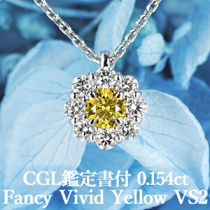 yCG[_Ch̍ō t@V[rrbhCG[zVRCG[_Ch y_g 0.154ct FVY VS2 CGLӒ菑t v`i950 / ꗱ  GQ[W PT950 0.1ct 0.1Jbg