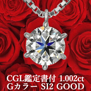 yCGLӒ菑tz y1JbgẢiŁIz 1.002ct GJ[ SI2 GOOD VR_Ch ꗱy_g v`i900 / lbNX PT900  GQ[W Vv 1ct