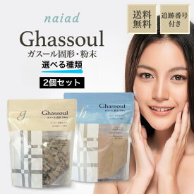 ガスール 固形 粉末 500g 選べる種類 2個セット ナイアード ナイヤード クレイ 粘土 泥 洗顔料 洗顔石鹸 せっけん 石けん 敏感肌 シャンプー 顔パック フェイスパック 大容量 クレンジング 毛穴 保湿 Naiad