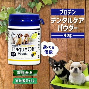 y11/04 20:00~ |Cg2{zvf f^PApE_[ p 40g Iׂ  L ӂ肩 Tvg