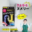 さよならヌメリー 選べる個数 イースマイル パイプクリーナー 排水管洗浄 掃除 消臭 排水口 ヌメリ 非塩素 排水溝 台…