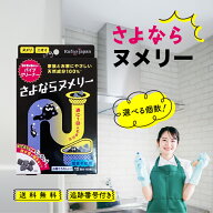 【9/4 20:00~ ポイント2倍】さよならヌメリー 選べる個数 イースマイル パイプクリーナー 排水管洗浄 掃…
