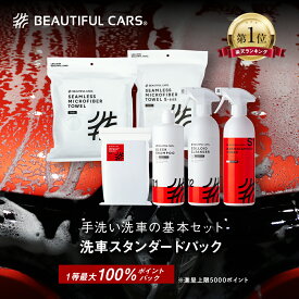【最大5000ポイントバック！】洗車スタンダードパック 送料無料 洗車に必要な6点を厳選 スリークシャンプー クロスカットカーウォッシュスポンジ コロイドクレンザー ナノダイヤモンドトナー シームレスマイクロファイバータオル4枚 シームレスマイクロファイバータオルS