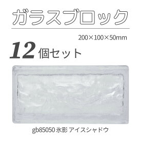 12個セット 送料無料 ガラスブロック レンガサイズ 世界で有名なブランド品 200x100x50mm クリア色 無色透明 高級ブロックガラスgb84050-12p 氷影 アイスシャドウ