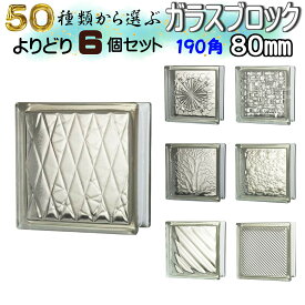 JINGHUA正規品 ガラスブロック 選ぶ50種類【よりどり6個セット】190角厚さ80mm ハーフサイズ SUPER WHITE クリア色シリーズ ガラス ブロック DIY 国際基準サイズ 世界で有名なブランド品 ブロックガラス スペーサー【本州四国九州 送料無料】【あす楽】