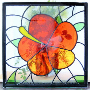 XehOX XehKX fUCplsgsq435