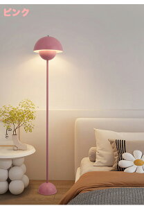 tAX^h ԐڏƖ Rt LEDd Ɩ  X^hCg k CeAƖ led rO _CjO Q Vv Hp tAX^hCg Cg q