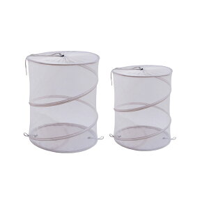 y2025NVzJX悯 S~ 2_Zbg JX΍ ǔL΍ O e ܂肽 S~XgbJ[ lbg ܂肽 {bNX S~Xe[V S~W{bNX hlbg 