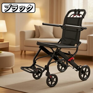 y2025VzԈ֎q ܏ ^  ω׏d100kg Ԉ֎q p Ԉ֎q  pԈ֎q pԈ֎q Ԃ y RpNg m[pN^C [\ Sxg